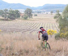 Sandy Hollow NSW Winery Find