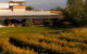 Isabella's At Rochford Wines - thumb 0