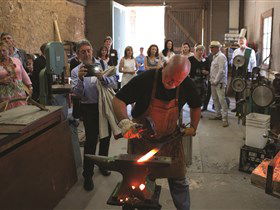 Seppeltsfield SA Winery Find