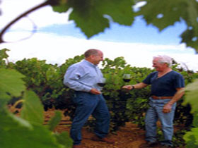 Macdonald Park SA Winery Find