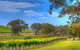 Lambert Estate Wines - thumb 1