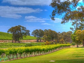 Lambert Estate Wines - Winery Find 1