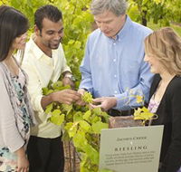 Jacob's Creek Vineyard Tour - Winery Find