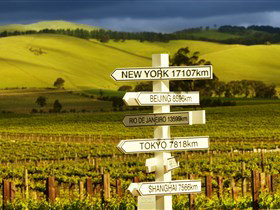 Jacob's Creek Visitor Centre - Winery Find 2