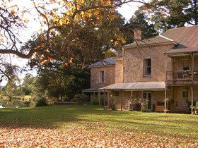 Houghton SA Winery Find
