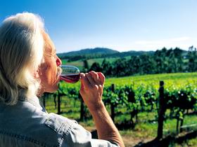 Summertown SA Winery Find
