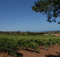 Grancari - Winery Find