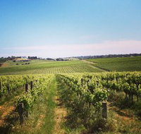 Adelaide Winemakers - Winery Find