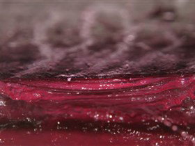 Adelaide Winemakers - Winery Find 2