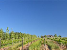 McLaren Vale III Associates - Winery Find 3