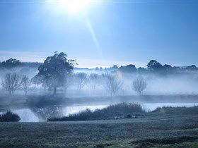 Top Note Vineyard - Winery Find 3