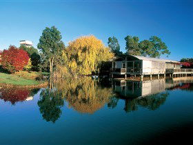Coonawarra SA Winery Find
