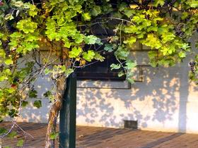 Policemans Point SA Winery Find