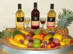 Biboohra QLD Winery Find