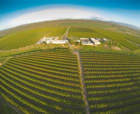 Degarra QLD Winery Find