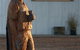 Amherst Winery - thumb 1