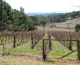 Dargan NSW Winery Find