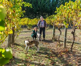 Alexandra VIC Winery Find