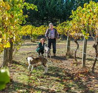 Little River Wines of Taggerty - Winery Find