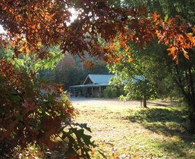 Little River Wines Of Taggerty - Winery Find 4