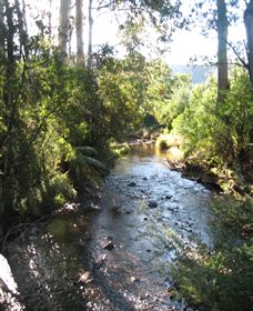 Little River Wines Of Taggerty - Winery Find 5