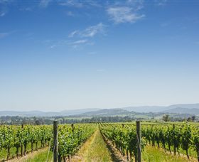 Coldstream VIC Winery Find