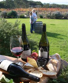 Kiltynane Wines - Winery Find 1