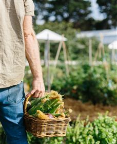 Kiltynane Wines - Winery Find 6