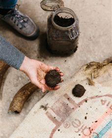 Kiltynane Wines - Winery Find 7