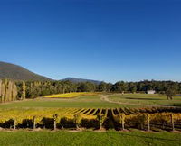 Boat O'Craigo Wines