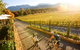 Feathertop Winery - thumb 6
