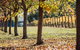 Crittenden Estate - thumb 4