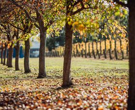 Crittenden Estate - Winery Find 4