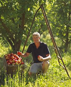 Mock Red Hill - Winery Find 1