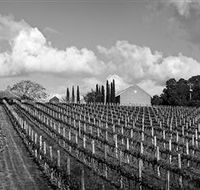 Willow Creek Vineyard - Winery Find