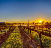 Long Rail Gully Winery - Winery Find