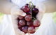 Granitevale Winery - thumb 0