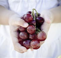 Granitevale Winery - Winery Find