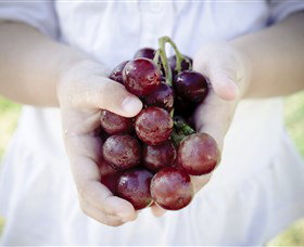 Granitevale Winery - Winery Find 0