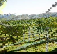 Surveyor's Hill Vineyards - Winery Find