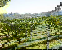 Book Canberra Accommodation Vacations Winery Find Winery Find