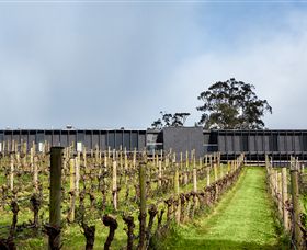 Brandy Creek Estate - Winery Find 3