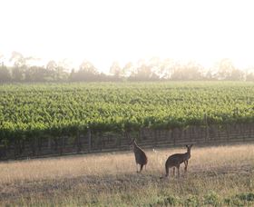 Denman NSW Winery Find