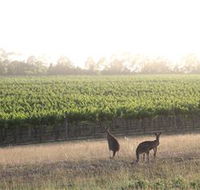 Small Forest Wine - Winery Find