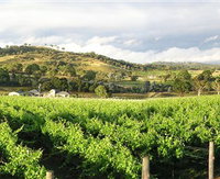 Tallagandra Hill