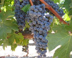 Clear Range NSW Winery Find