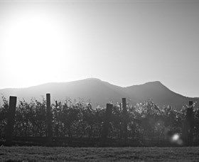 Scarborough Wine Co. - Winery Find 1