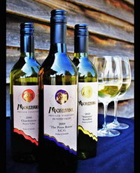 Moorebank Private Vineyard