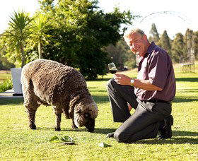 Moorebank Private Vineyard - Winery Find 2