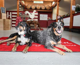 Ballabourneen Wine Co - Winery Find 3